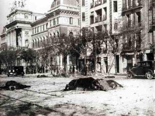 foto 25.jpg (20648 bytes)